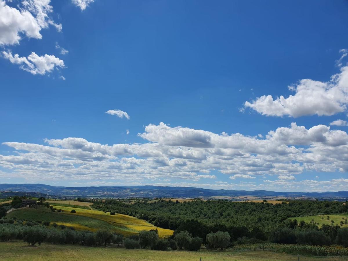 Bed and Breakfast La Collina Дерута Екстер'єр фото