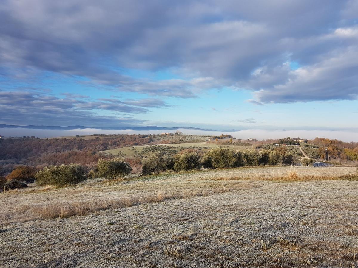 Bed and Breakfast La Collina Дерута Екстер'єр фото